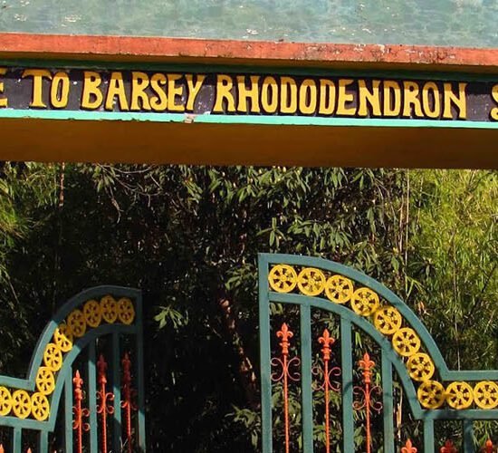 Barsey Rhododendron Sanctuary