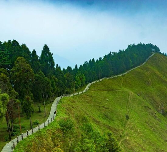 darjeeling tour packages with toy train