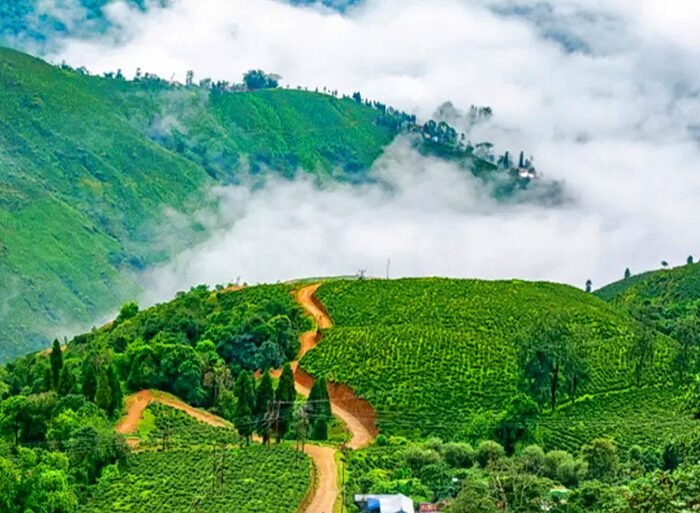 Gangtok Lachung Lachen Darjeeling Tour Package