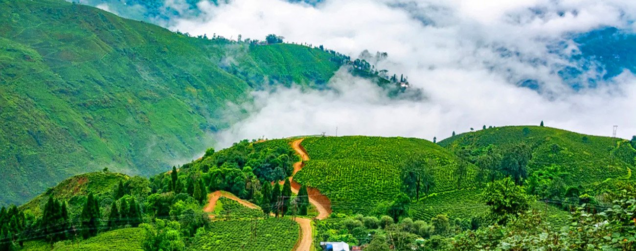 Gangtok Lachung Lachen Darjeeling Tour Package