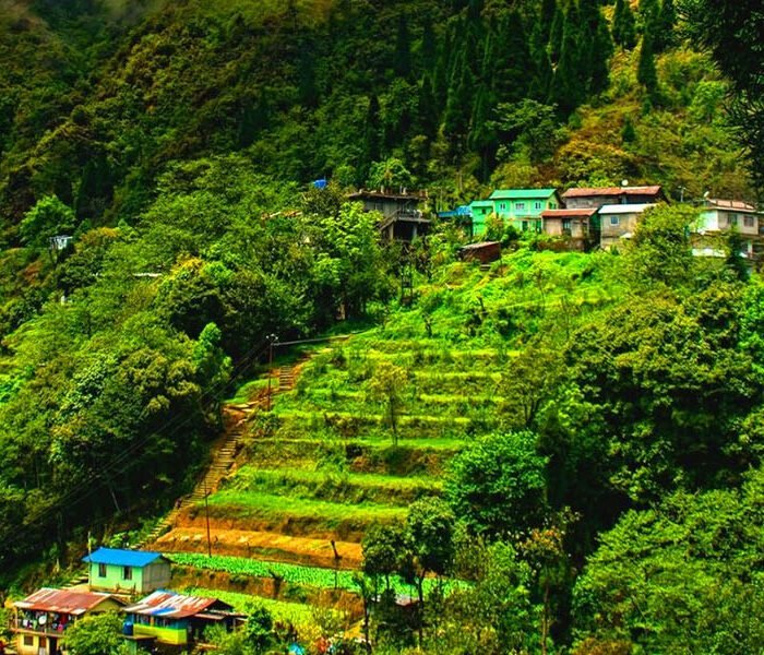 Gangtok Darjeeling Tour Package