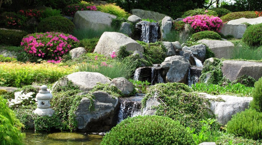 Amazing Rock Garden