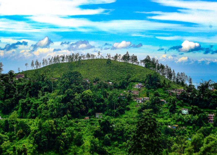 3 Nights 4 Days Pelling Darjeeling Tour Package